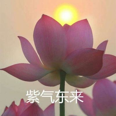 幻城录游戏